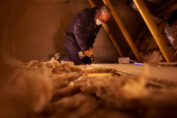 Best Insulation Installation Services in Crawfordsville, IN