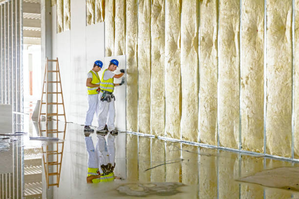 Best Insulation Installation Services in Crawfordsville, IN